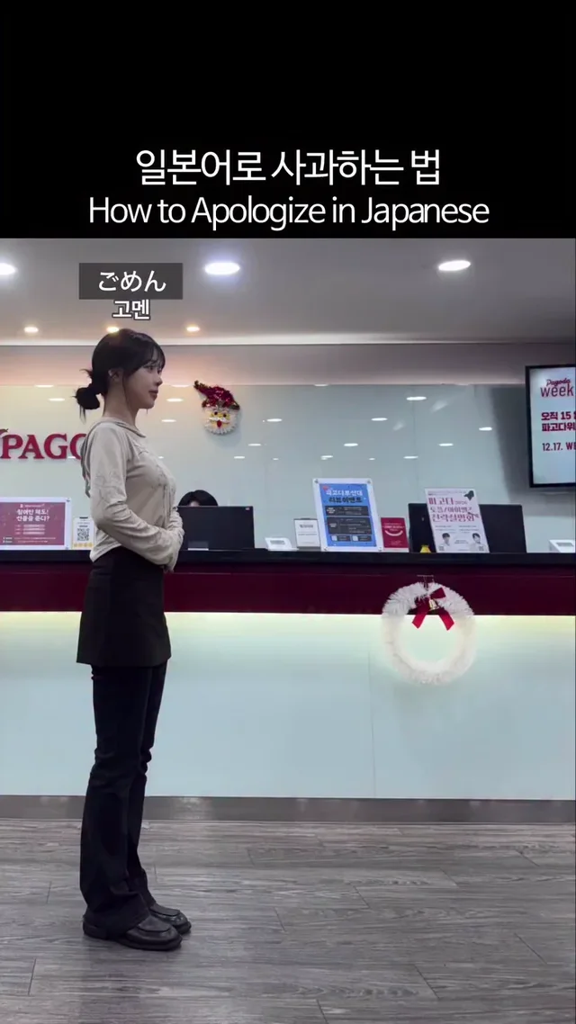 일본어로 사과하는 방법 | 인스티즈