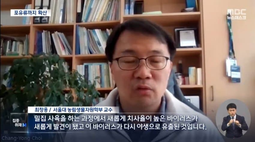 현재 전 세계로 퍼지고 있는 조류 독감.jpg | 인스티즈