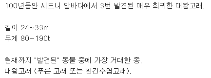 100년동안 시드니에서 3번 발견된 생명체 | 인스티즈