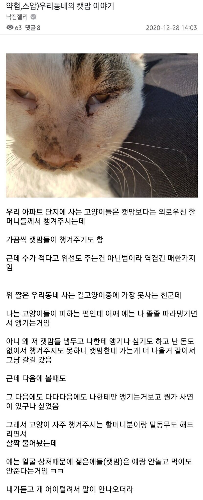 젊은 캣맘들의 외모지상주의 | 인스티즈