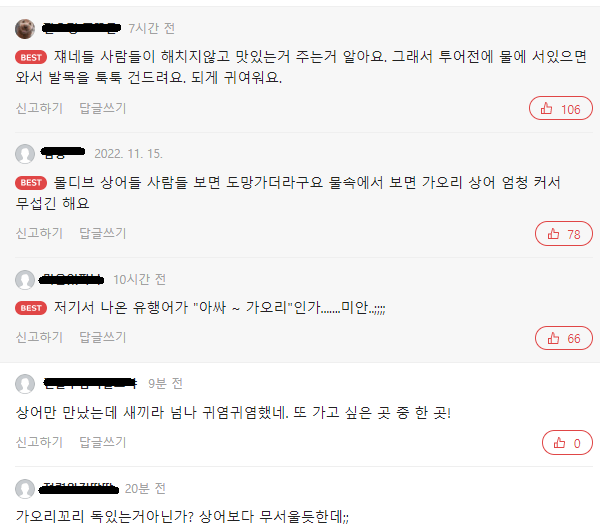 한 몰디브 해변의 일상 .gif | 인스티즈