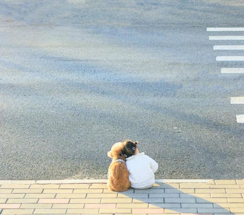 딸 키우는 집에 강아지 키우면 생기는 일 | 인스티즈