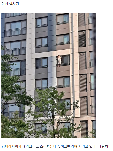 안산 실시간.. 집에서 담배냄새 안나게 피는 방법 연구중.JPG | 인스티즈