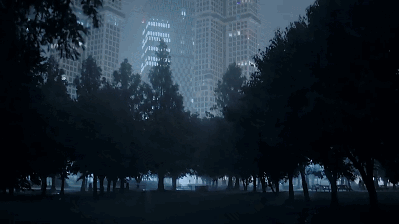 한 유튜버가 촬영하면서 정말 무서웠다는 새벽 2시 서울숲 풍경 | 인스티즈