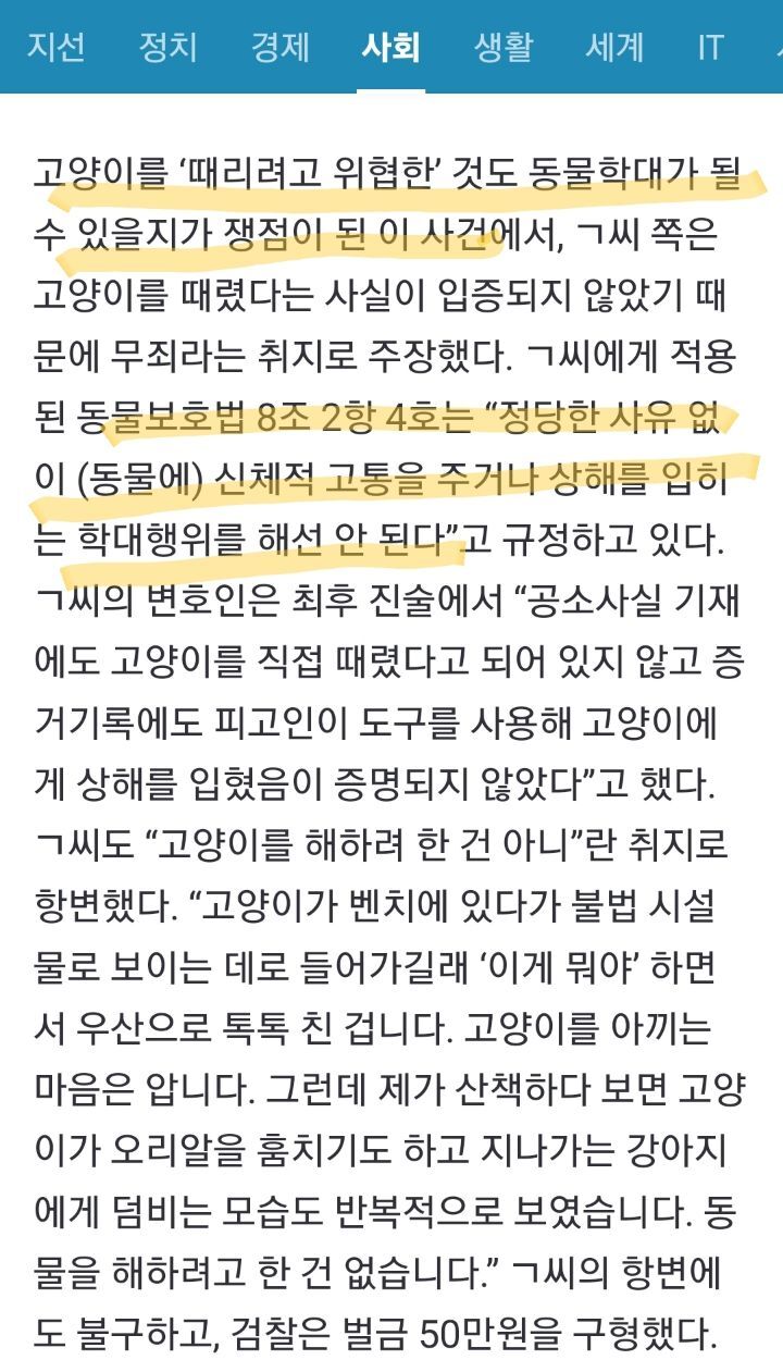 법원 : 물리적(직접적) 가해가 없었더라도 길고양이를 위협한 경우 벌금형 | 인스티즈