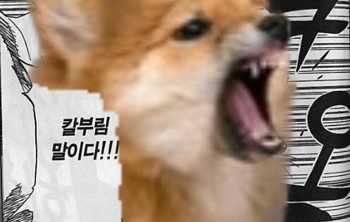 블리치 늑대인간 대장 코마무라 실사화 | 인스티즈