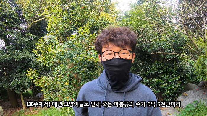 [사진100장스압] 고양이가 자연생태계에 끼치는 심각한 영향 | 인스티즈