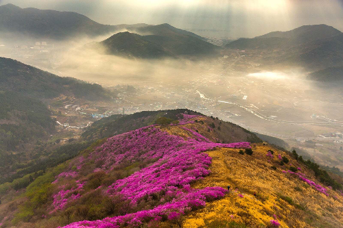 2000년대 들어서 관광업이 급격히 발전한 두 도시 | 인스티즈