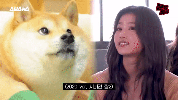 도지코인 닮은 아이돌 ㄷㄷㄷ.JPGIF | 인스티즈