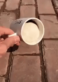 컵을 뒤집어도 안 쏟아지는 카페라떼 | 인스티즈