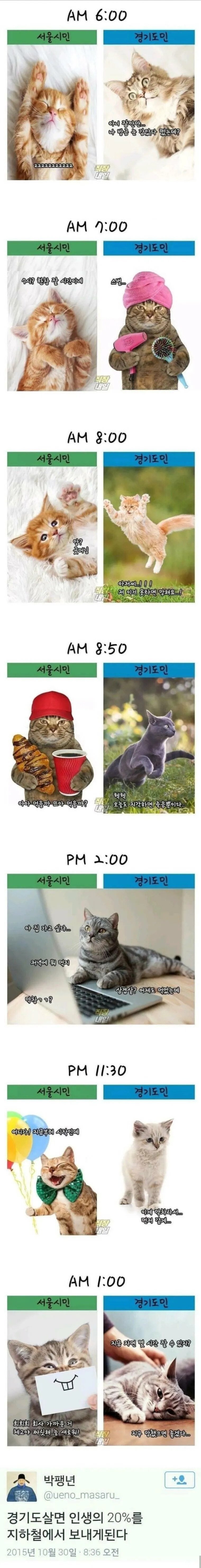 서울시민 vs 경기도민 | 인스티즈