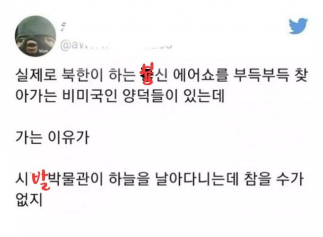 에어쇼 구경하러 북한가는 외국인들..jpg | 인스티즈