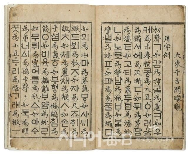 전세계 문자들의 기원.jpg | 인스티즈