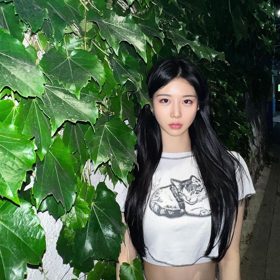 Daum 카페