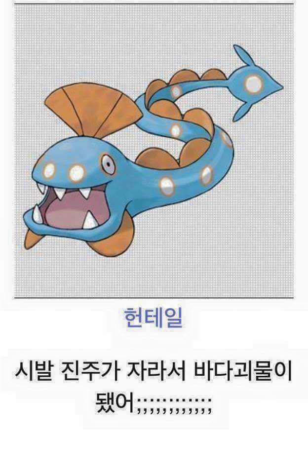 진화하면 역변하는 포켓몬들 | 인스티즈