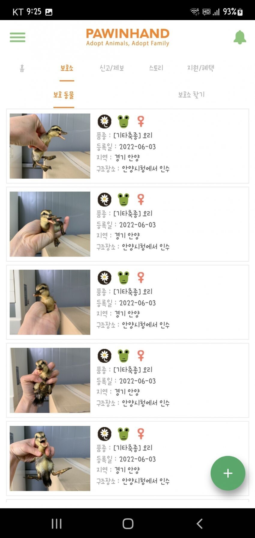 오리가족 납치 | 인스티즈