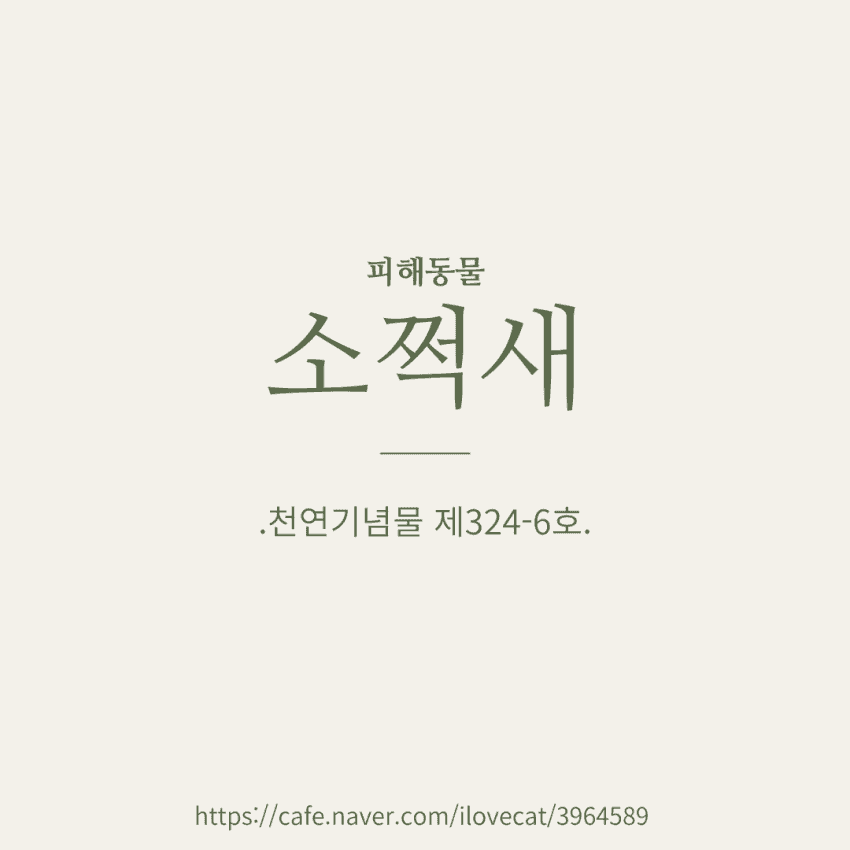 저는 장난감이 아니에요.jpg | 인스티즈