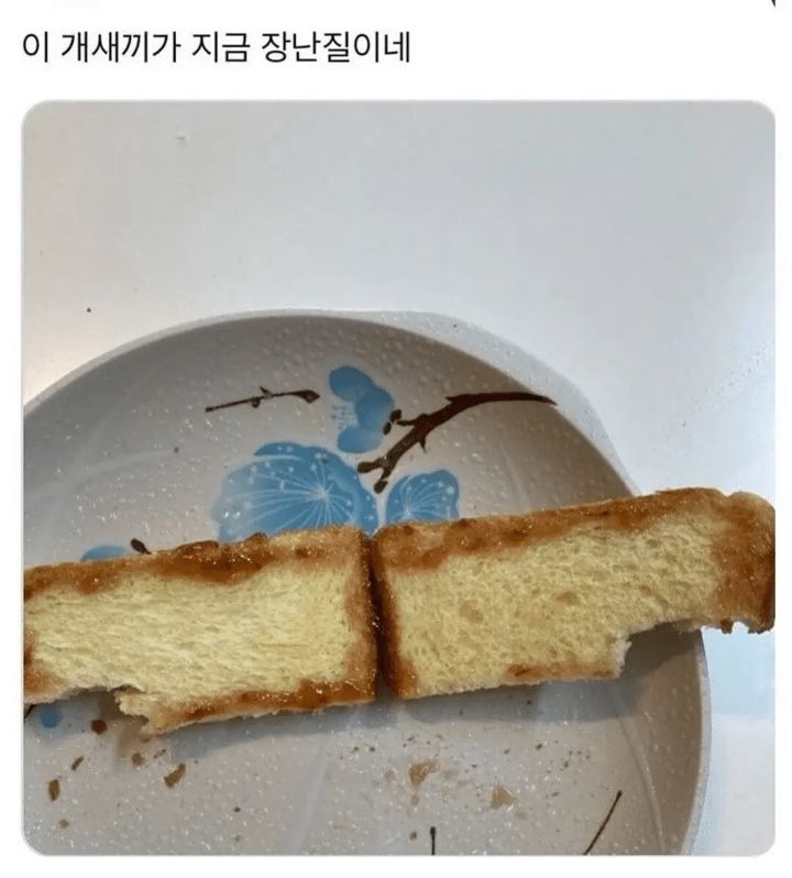 동생이 만들어준 토스트.jpg | 인스티즈