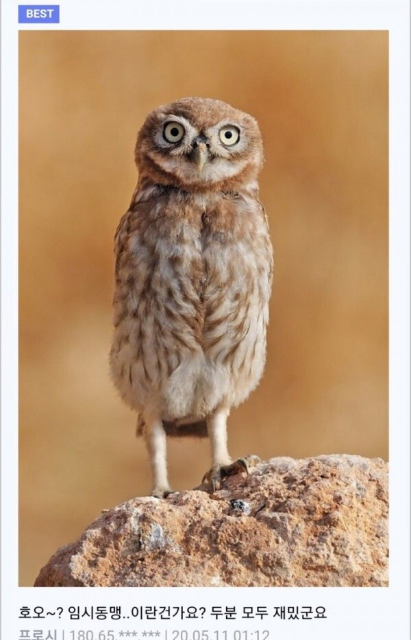 애니메이션 좀 봤다하면 아는 클리셰 | 인스티즈