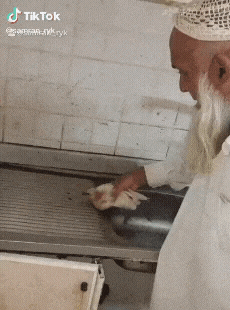 인도의 새스코.gif | 인스티즈