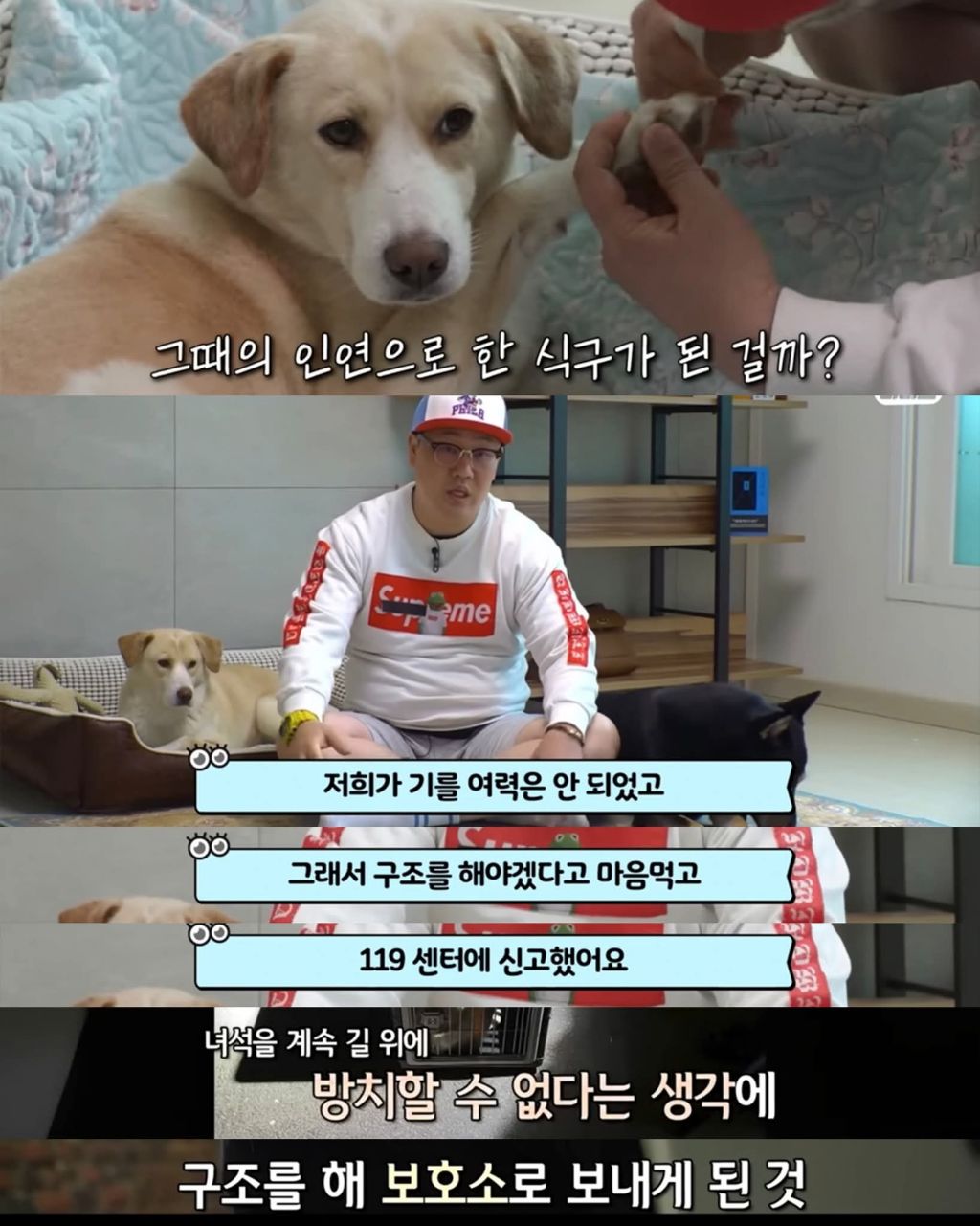 한달만에 집으로 돌아온 댕댕이 | 인스티즈