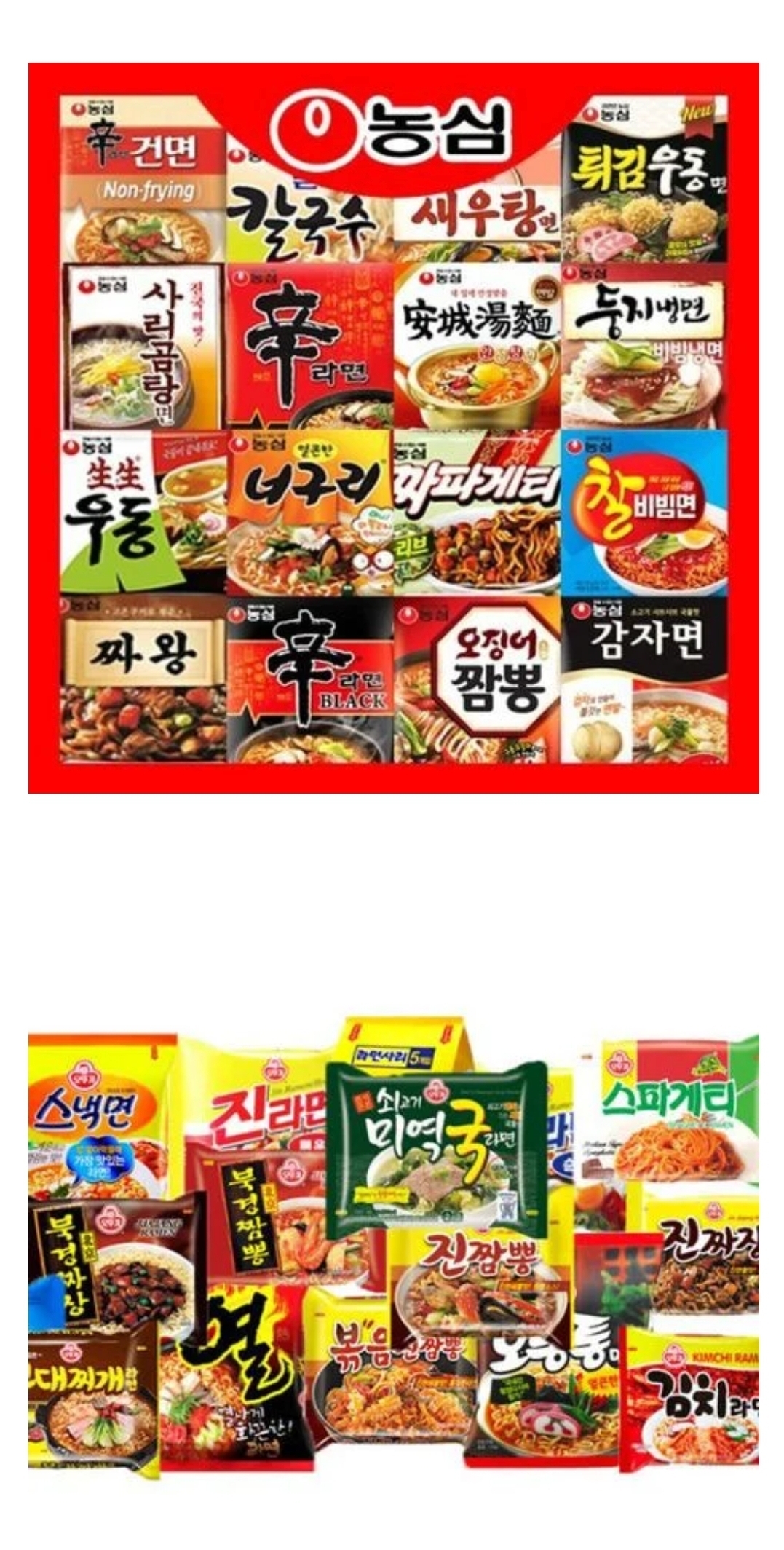 우리집 기본 라면은? | 인스티즈