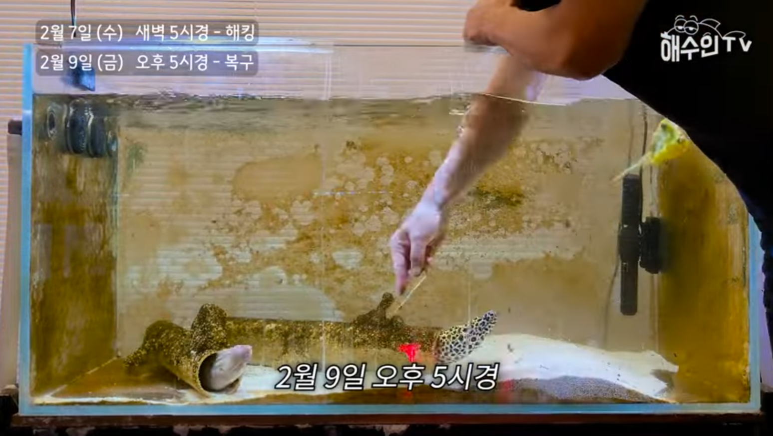 유튜브 계정이 3번이나 해킹 당한 이유 | 인스티즈