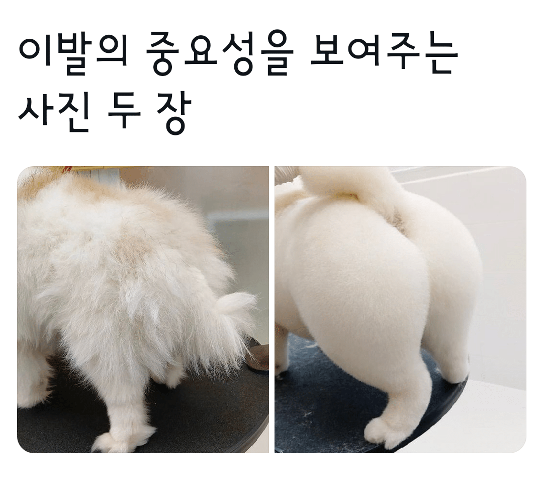 이발의 중요성을 보여주는 사진 두 장 | 인스티즈