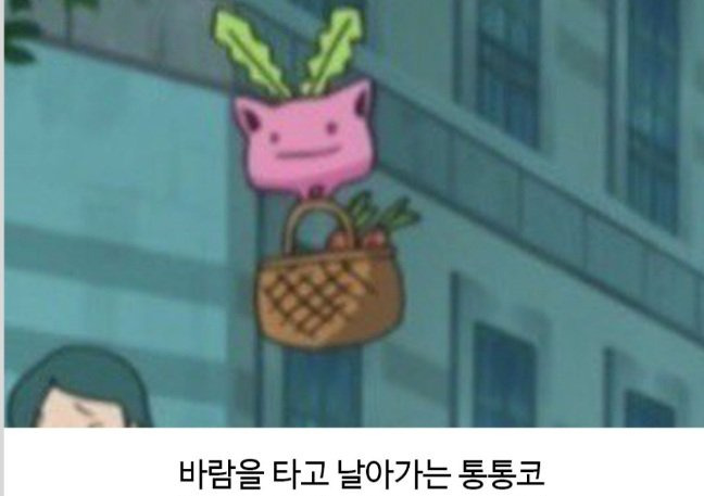 포켓몬 보다가 발견한 작붕ㅋㅋㅋㅋ.jpg | 인스티즈