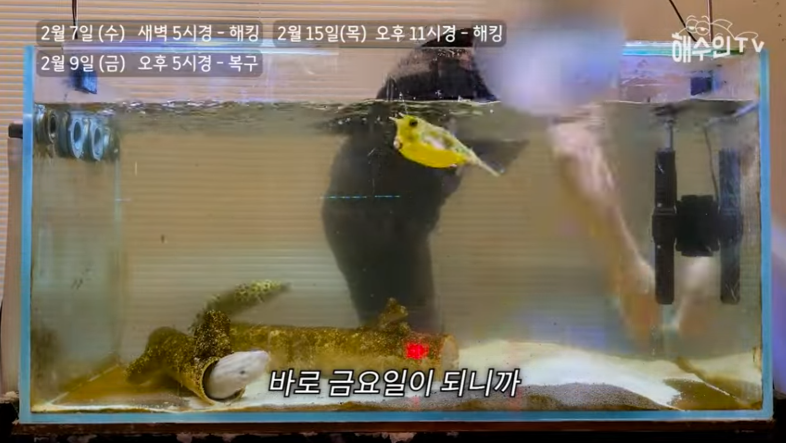 유튜브 계정이 3번이나 해킹 당한 이유 | 인스티즈