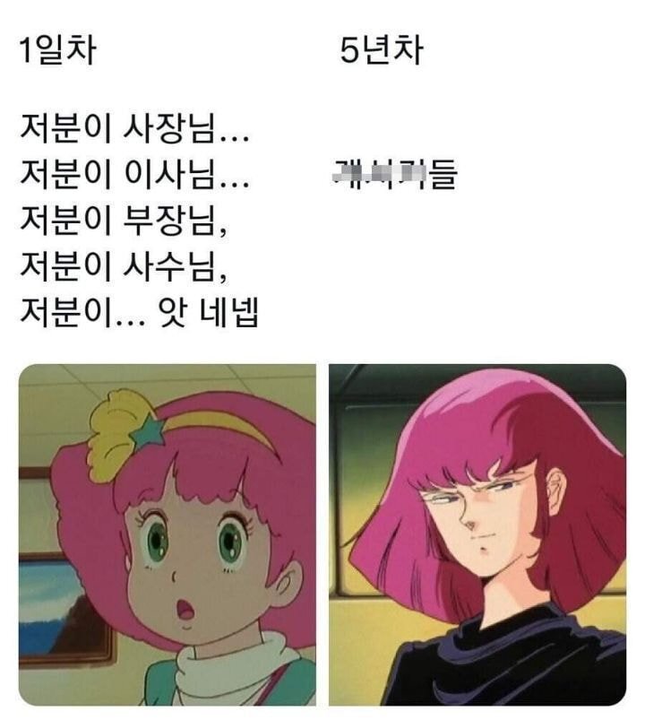 회사 신입과 5년차 차이 | 인스티즈