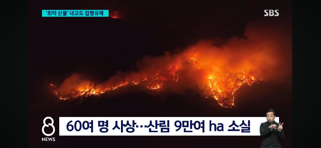 작년 경북 일대 '역대 최악의 산불' 주범, 집행유예 선고 "고의 아니야" | 인스티즈