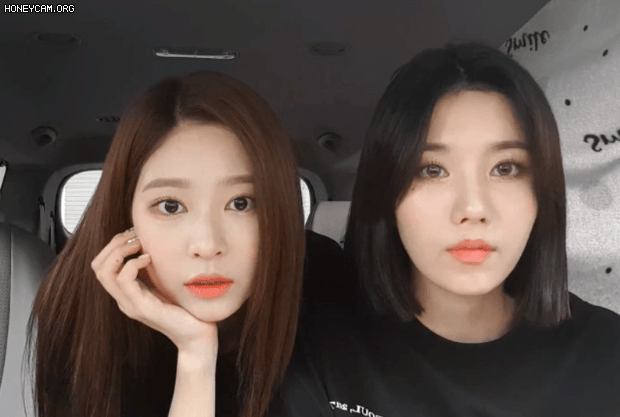 오늘자 걸그룹 안면국보.gif | 인스티즈