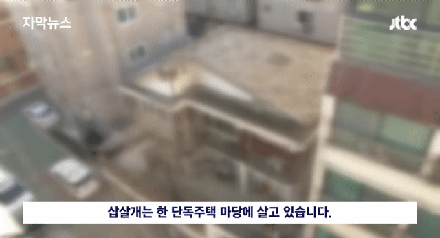 우리 개는 사람은 안물어 | 인스티즈