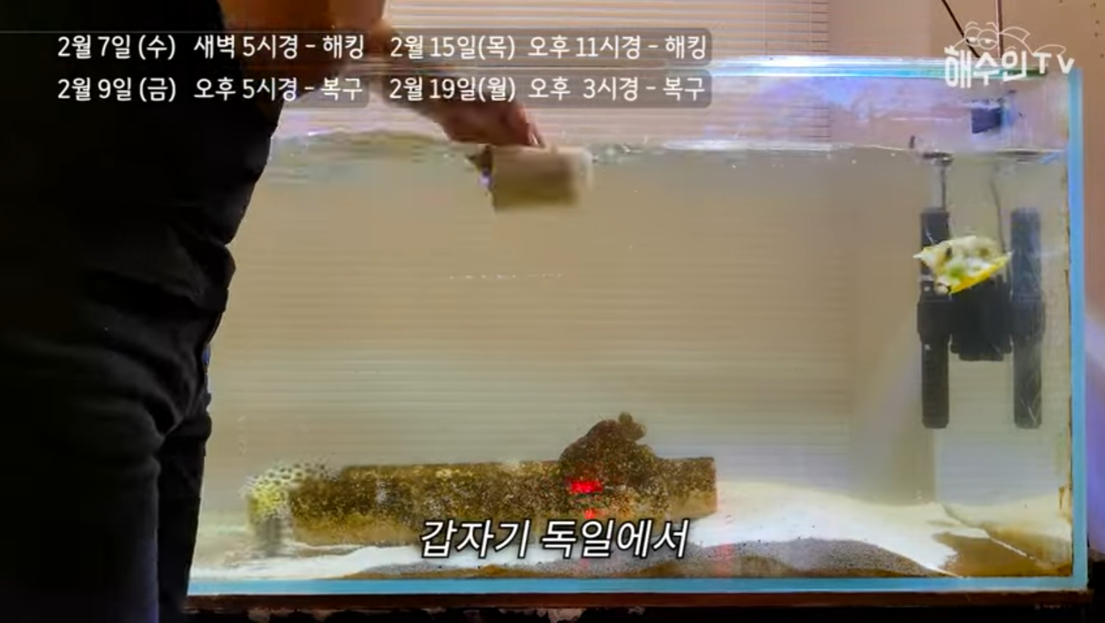 유튜브 계정이 3번이나 해킹 당한 이유 | 인스티즈