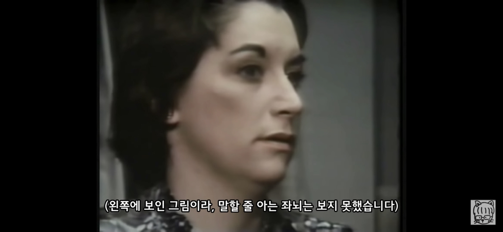 (스압)분리 뇌 실험 | 인스티즈