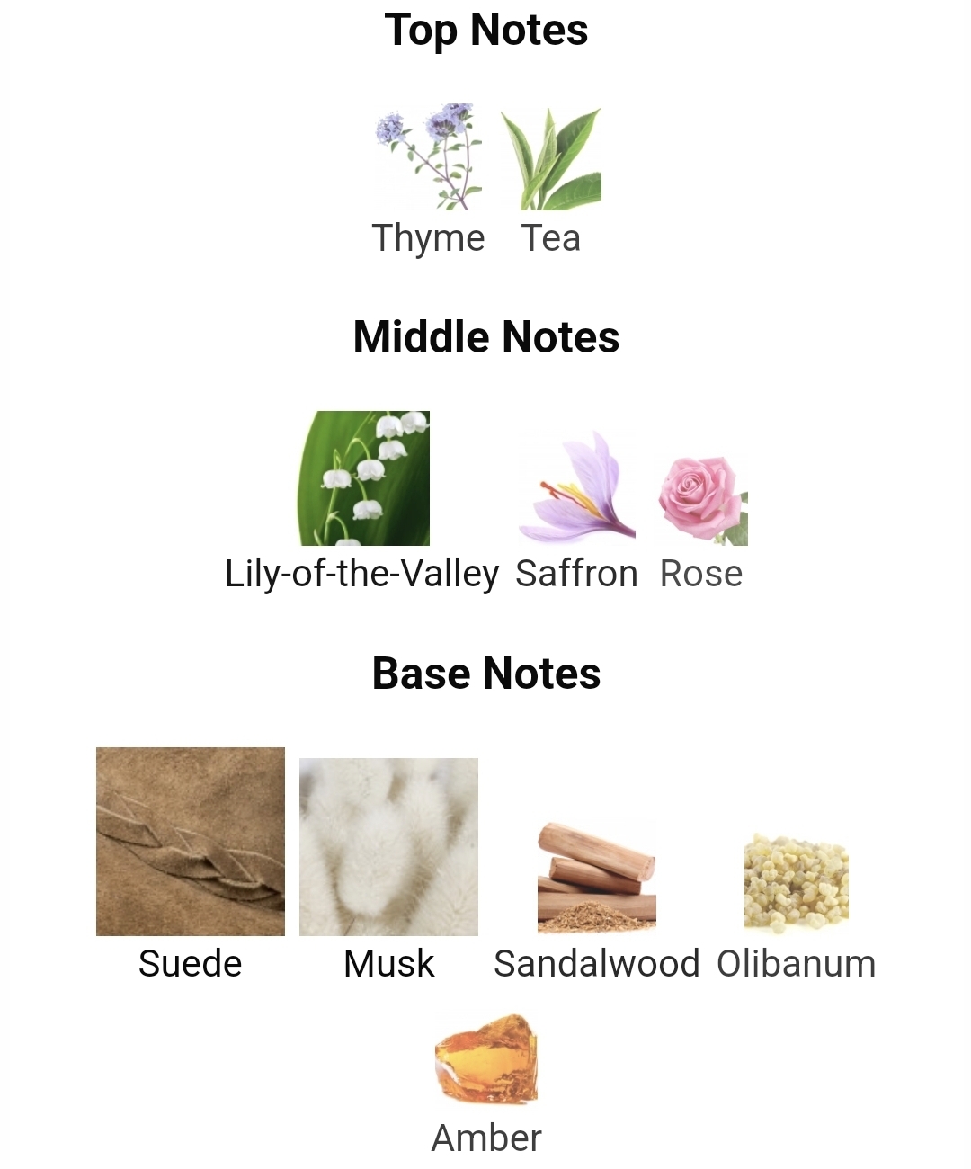 가을겨울에 쓰기 좋은 머스크 노트 향수들.jpg | 인스티즈