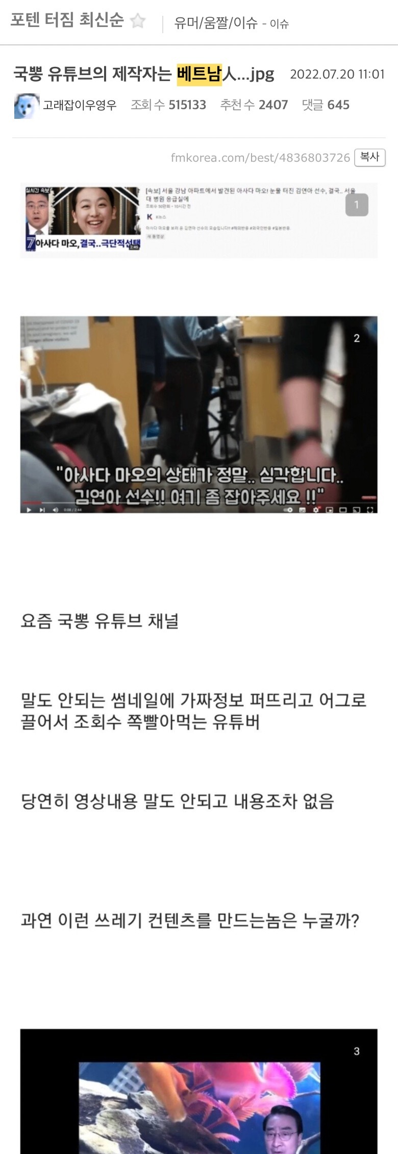 국뽕 유튜브의 제작자는 베트남人...jpg | 인스티즈