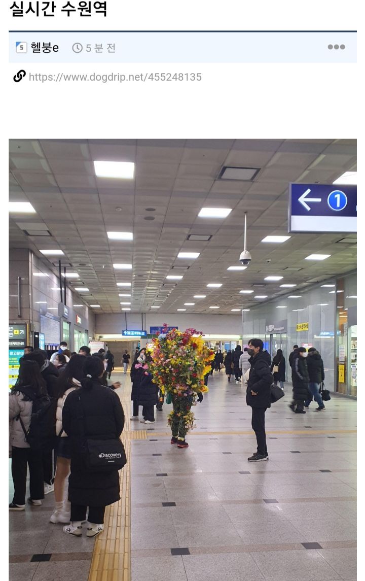 수원역 명물 해바라기 할아버지 | 인스티즈