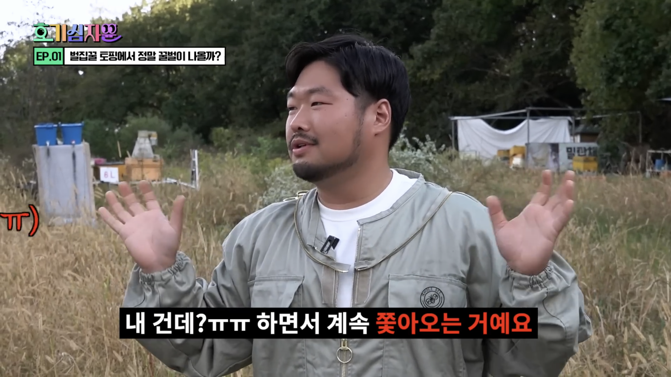 요거트 아이스크림 벌집꿀에서 나오는 벌의 정체............jpg | 인스티즈