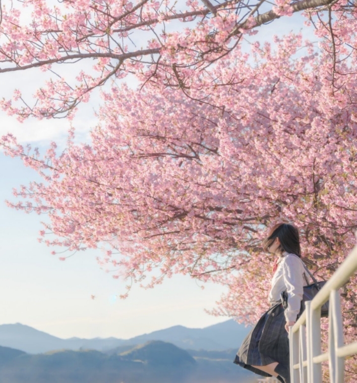 애니메이션 배경풍 사진 찍는 일본 여고생들 | 인스티즈