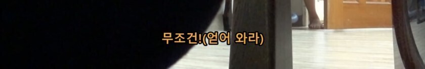모기 때문에 고생하는 여동생 | 인스티즈