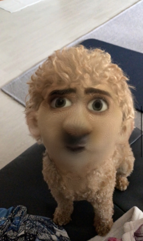 어제 동물병원 갔는데 옆테 다른 견주분이 몇살이냐고 물어보길래 26살이라고 대답했거든..? | 인스티즈