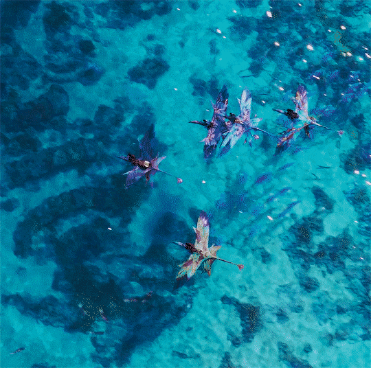 79b5654a4609421a94818bb89d7034402ee0b5e9