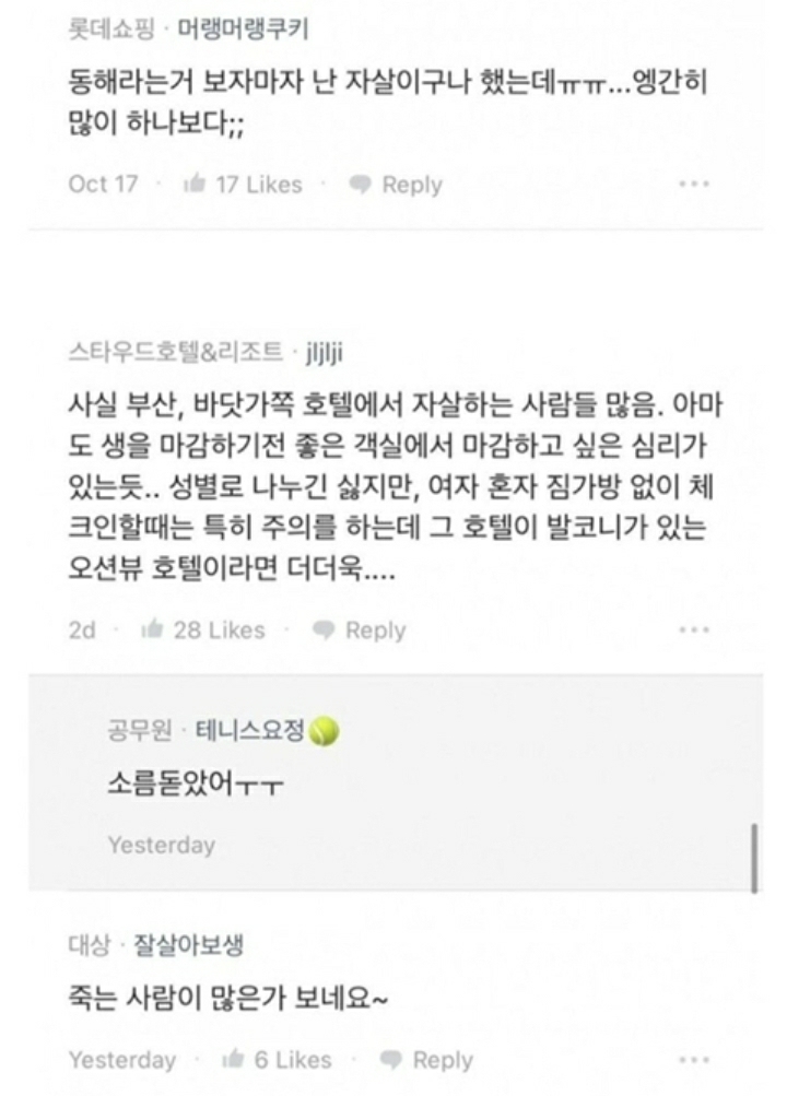 뷰 좋은 호텔에서 1인 숙박 거절하는 이유 | 인스티즈