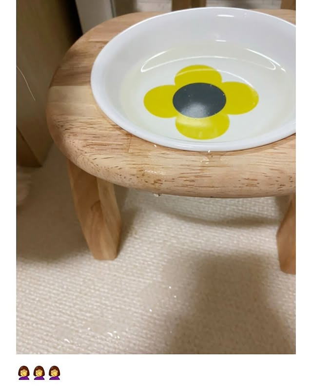 물 잘 안 마시는 강아지들 물에 당근이나 오이 넣으면 잘 마신대서 해봤거든 | 인스티즈