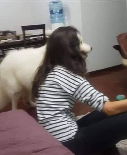 강아지상 레전드.jpg | 인스티즈