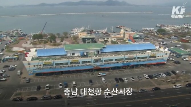 정말 몰상식하고 격떨어지는 수산 시장..jpg(시장경제 살릴필요가없는이유) | 인스티즈