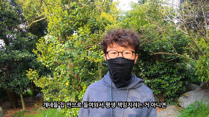 [사진100장스압] 고양이가 자연생태계에 끼치는 심각한 영향 | 인스티즈