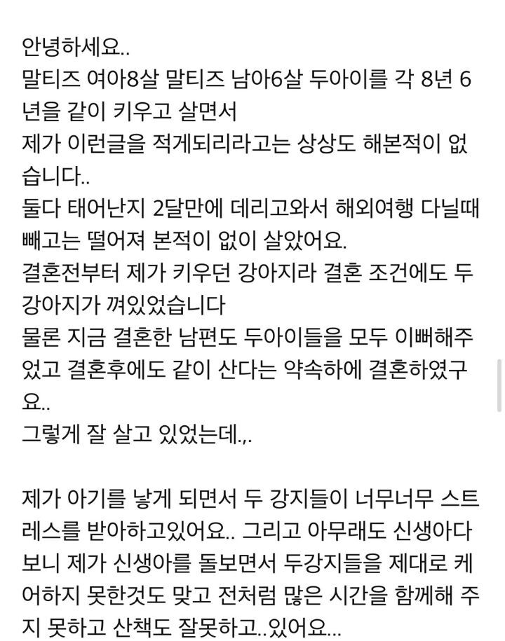 강아지 분양 보낼 때 신혼부부는 1순위로 거르는 이유.JPG | 인스티즈